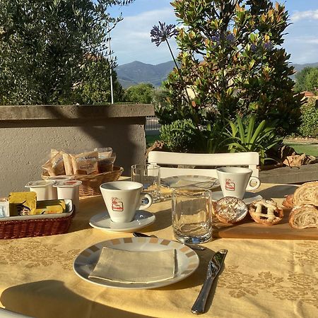 Villa Orsini - A Retreat In Pisa - Food And Relax Exteriér fotografie