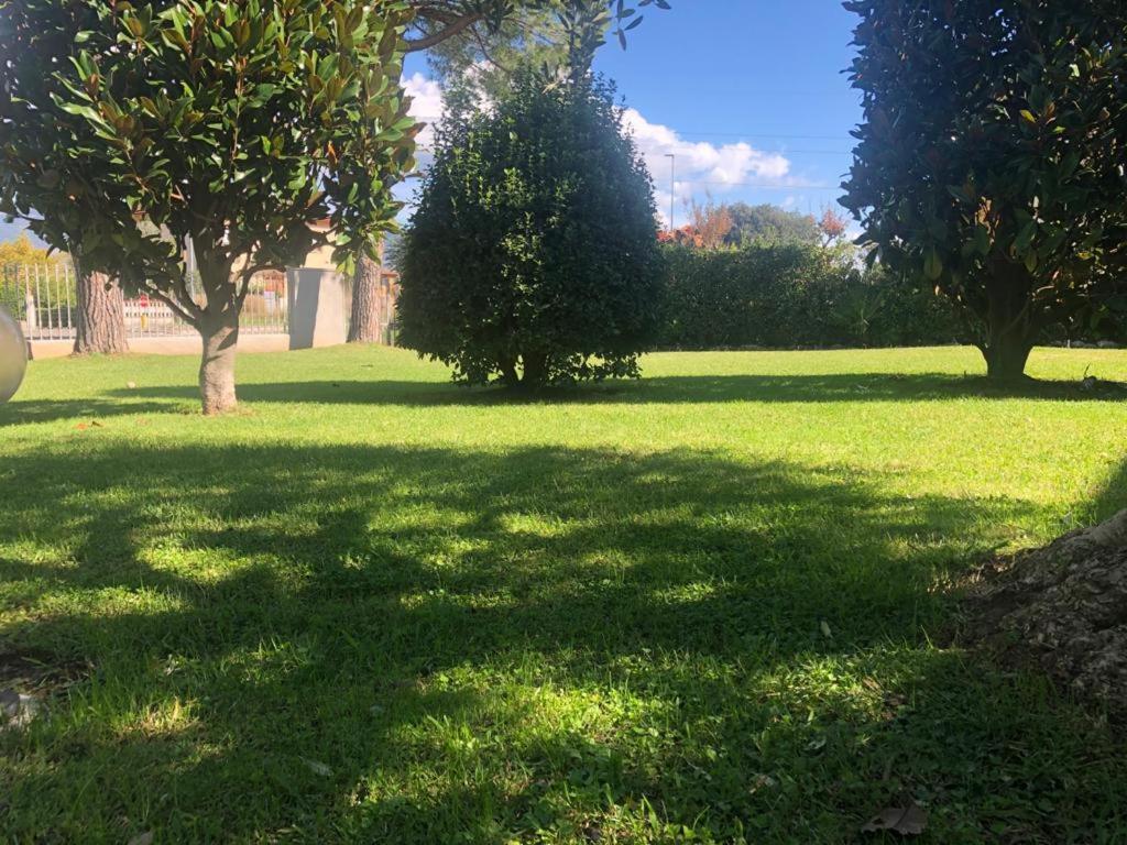 Villa Orsini - A Retreat In Pisa - Food And Relax Exteriér fotografie